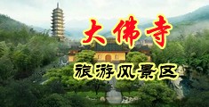 鸡鸡对鸡鸡小视频动漫中国浙江-新昌大佛寺旅游风景区